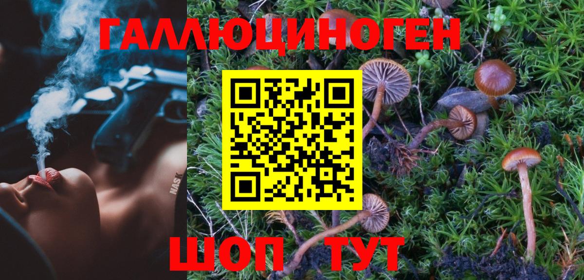 Псилоцибиновые грибы GOLDEN TEACHER Лесозаводск